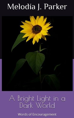 Cover image for A Bright Light in a Dark World