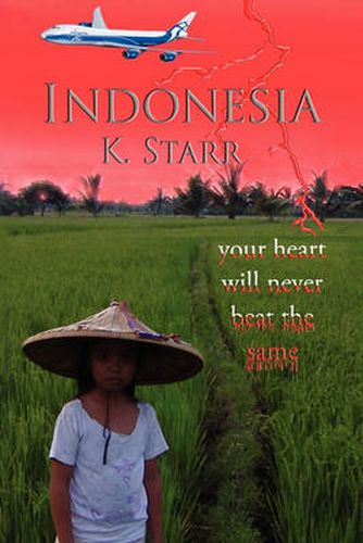 Cover image for Indonesia