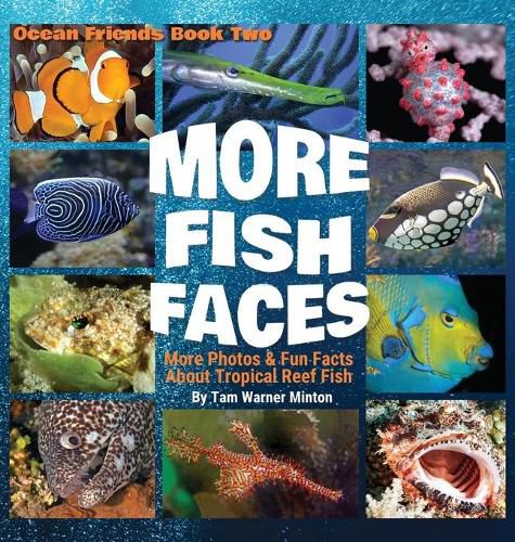 Cover image for More Fish Faces: More Photos and Fun Facts about Tropical Reef Fish