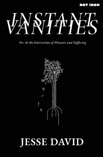 Cover image for Instant Vanities