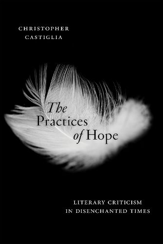 Cover image for The Practices of Hope: Literary Criticism in Disenchanted Times