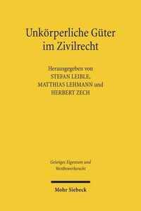 Cover image for Unkoerperliche Guter im Zivilrecht