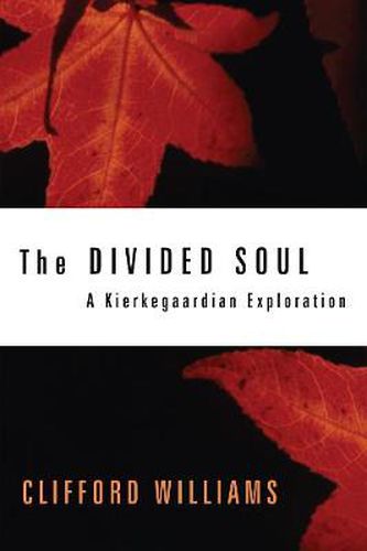 Cover image for The Divided Soul