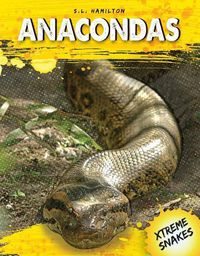 Cover image for Anacondas