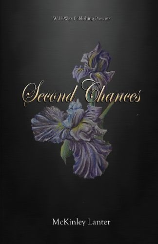 Cover image for Second Chances