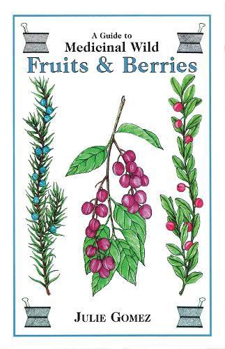 Guide to Medicinal Wild Fruits & Berries