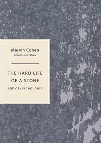 Cover image for The Hard Life of a Stone