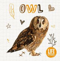 Cover image for Owl