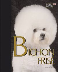 Cover image for Bichon Frise