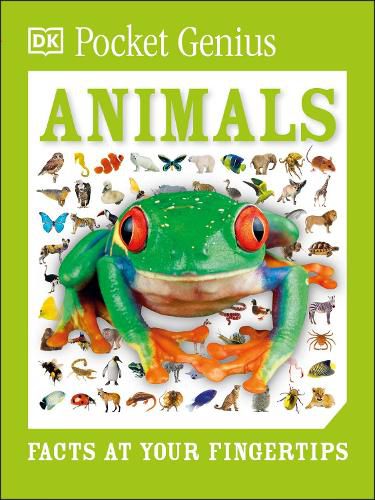 Cover image for Pocket Genius: Animals: Facts at Your Fingertips