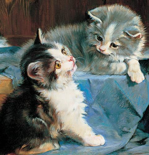 Cover image for Memo Block: Kittens