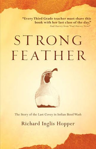 Cover image for Strong Feather