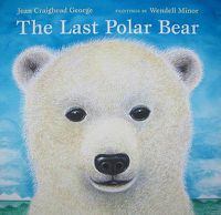 Cover image for The Last Polar Bear