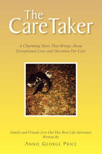 Cover image for The Caretaker