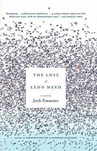 Cover image for The Loss of Leon Meed: A Novel