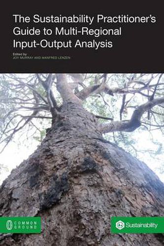 Cover image for The Sustainability Practitioner's Guide to Multi-Regional Input-Output Analysis