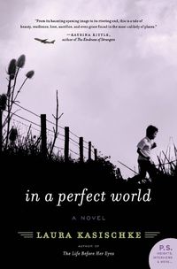 Cover image for In a Perfect World