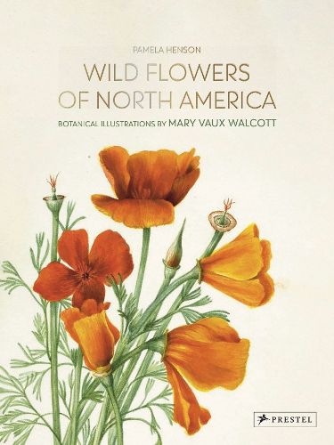 Cover image for Wild Flowers of North America: Botanical Illustrations by  Mary Vaux Walcott