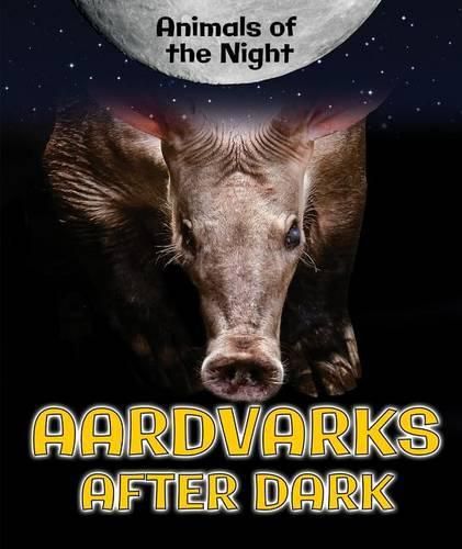 Aardvarks After Dark