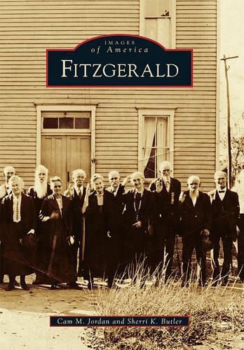 Cover image for Fitzgerald