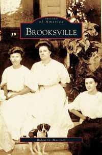 Cover image for Brooksville