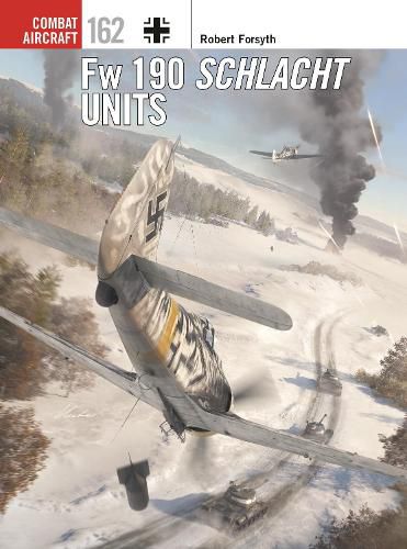 Cover image for Fw 190 Schlacht Units