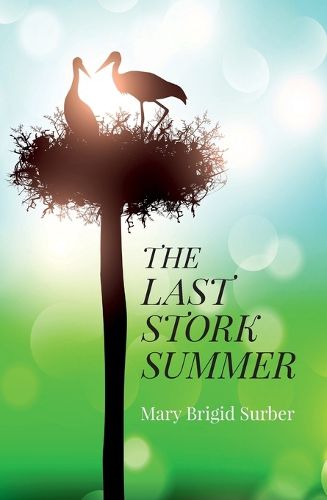 Cover image for Last Stork Summer, The