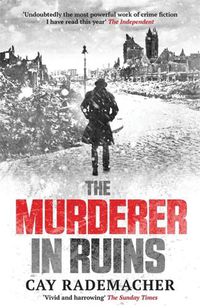 Cover image for The Murderer in Ruins