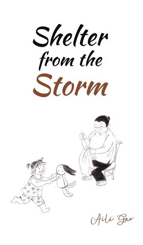 Cover image for Shelter from the Storm