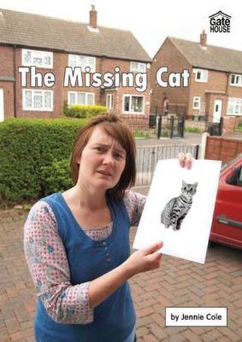 The Missing Cat