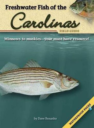 Cover image for Freshwater Fish of the Carolinas Field Guide