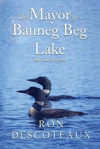 Cover image for The Mayor of Bauneg Beg Lake