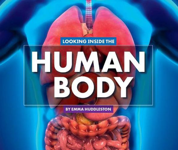 Looking Inside the Human Body