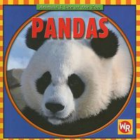 Cover image for Pandas