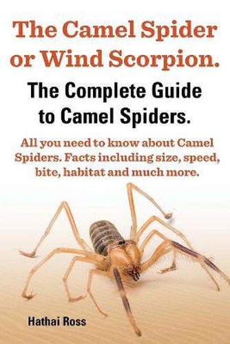 The Camel Spider or Wind Scorpion, The Complete Guide to Camel Spiders.: With All You Need to Know About Camel Spiders