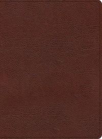 Cover image for KJV Study Bible, Large Print Edition, Brown Bonded Leather