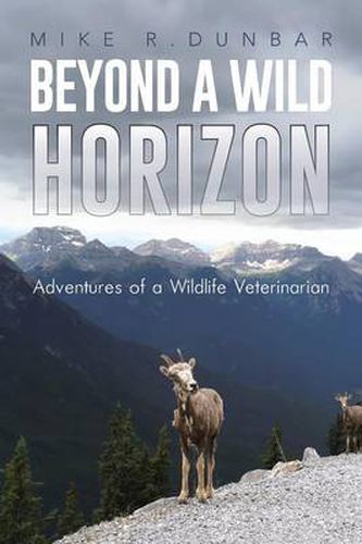 Cover image for Beyond a Wild Horizon