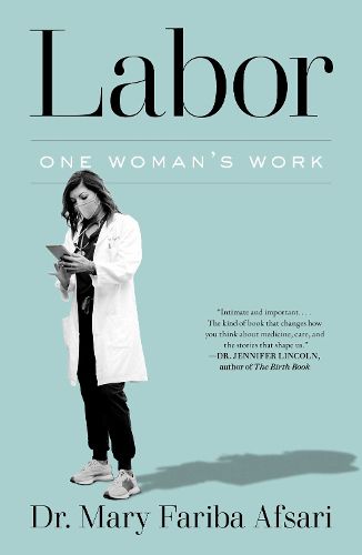 Cover image for Labor