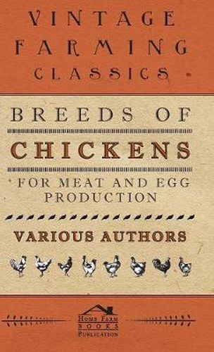 Cover image for Breeds Of Chickens For Meat And Egg Production