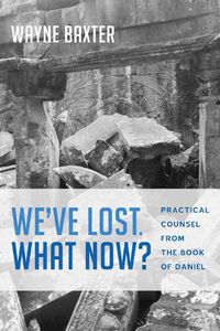 Cover image for We've Lost. What Now?: Practical Counsel from the Book of Daniel