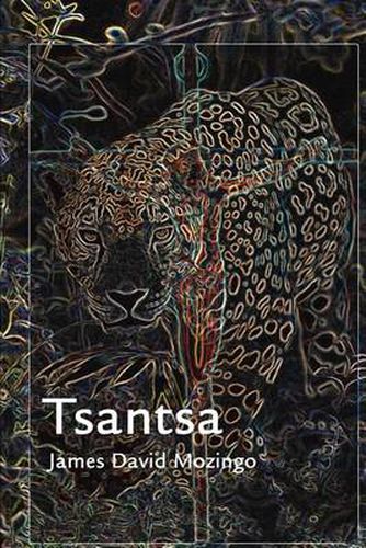 Cover image for Tsantsa