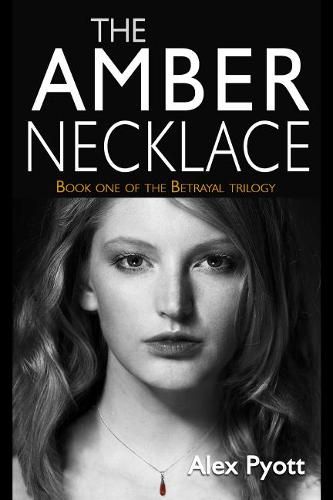 Cover image for The Amber Necklace