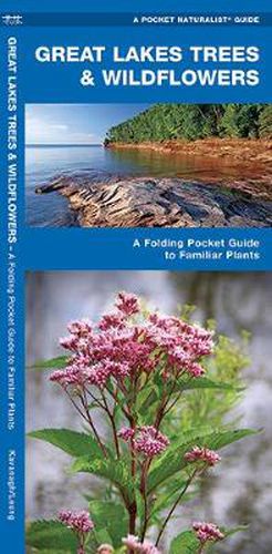 Cover image for Great Lakes Trees & Wildflowers: A Folding Pocket Guide to Familiar Species