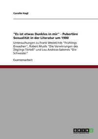 Cover image for Es Ist Etwas Dunkles in Mir - Pubert re Sexualit t in Der Literatur Um 1900