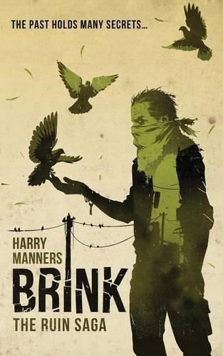 Cover image for Brink