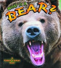 Cover image for What is a Bear?