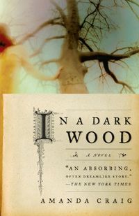 Cover image for In a Dark Wood: A Novel