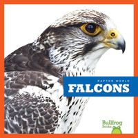 Cover image for Falcons