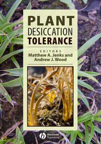 Cover image for Plant Desiccation Tolerance