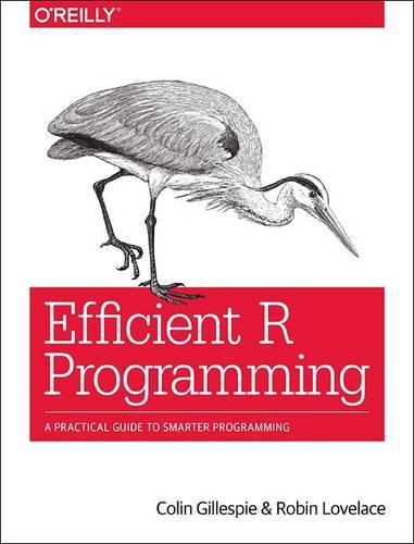 Cover image for Efficient R Programming